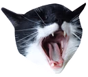 QaatHa emote
