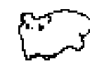 rollcat animated emote