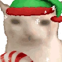 veryCat emote