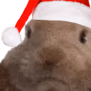 VIBEOFF emote