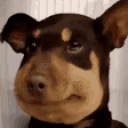 Awkward emote