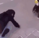 MONKELOVE emote
