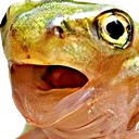 frogpogl emote