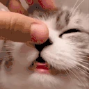cheso emote