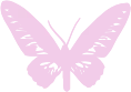 butterfly emote