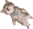 doid emote