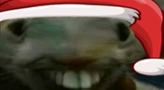 xpp emote