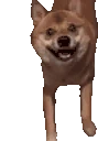 DogDance emote