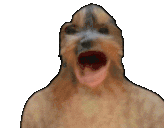 bbLaugh animated emote