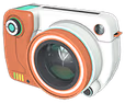 Snapshot emote