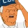salute emote