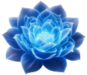 flower emote