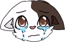 beluCry emote