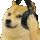 dogejamming emote