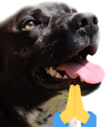 BrewDogDorime emote