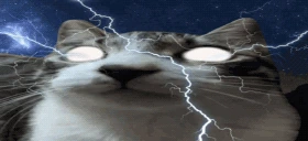 ahnosorry emote