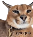 googas emote