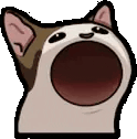 popCat animated emote