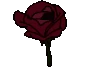 FlowerWine emoji