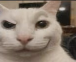 Osi emote