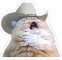 AAAAAAA emote