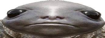 lilbroStare emote
