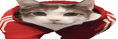 catWalk animated emote