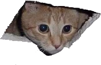 hole_cat emote