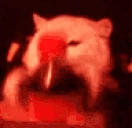 thebiggerbomb emote