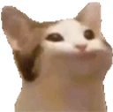 PauseCat emote