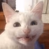 CE_Smile4 emote