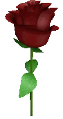 Rose_5 emote
