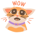wow_cat emote