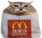 catinbag emote