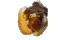 chilidog emote