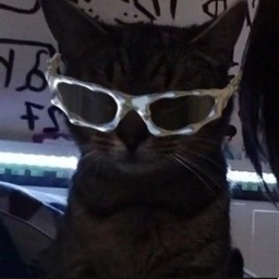 wexeontheweb avatar