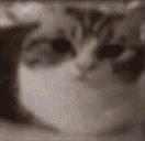 42 emote