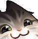 smugcat emote