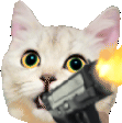 CatGun animated emote