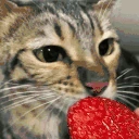 Strawberry emote