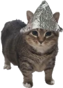 Psyop emote