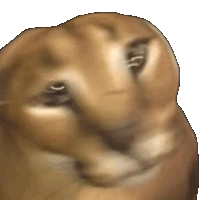 floppa_shake emoji