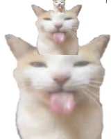 BLEHHHHH_Cat_Tower emote