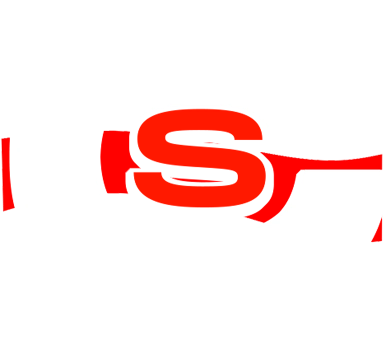 CSM emote