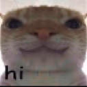 Cat_Hi emote