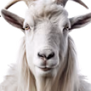 goat emote