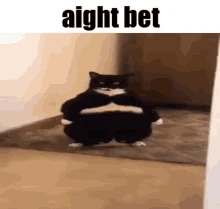Cat emote