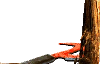 ForestTime emote