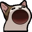popCat emote