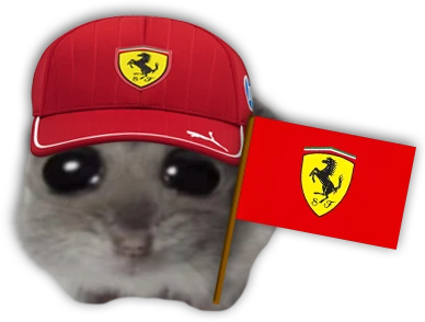 goFER emote